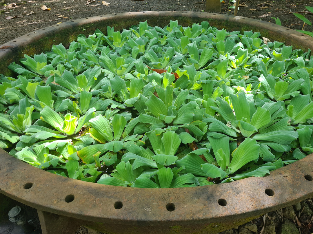 拉波多内城堡-马普必去景点