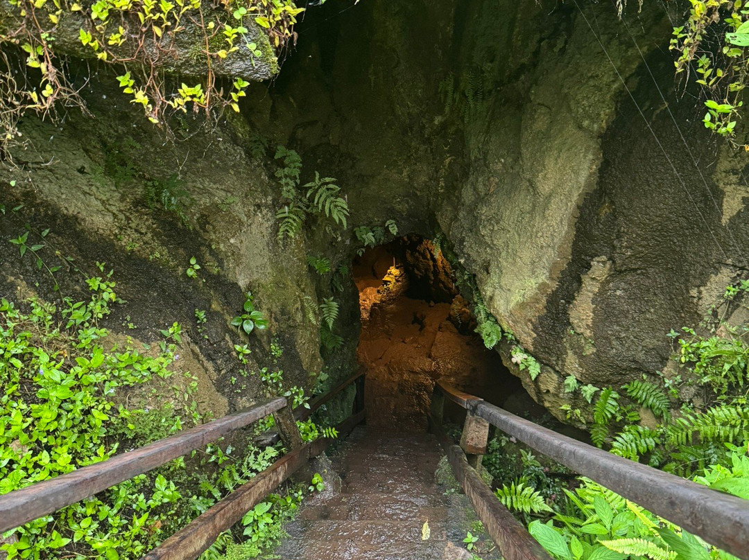 Lava Tunnel-圣克鲁斯必去景点