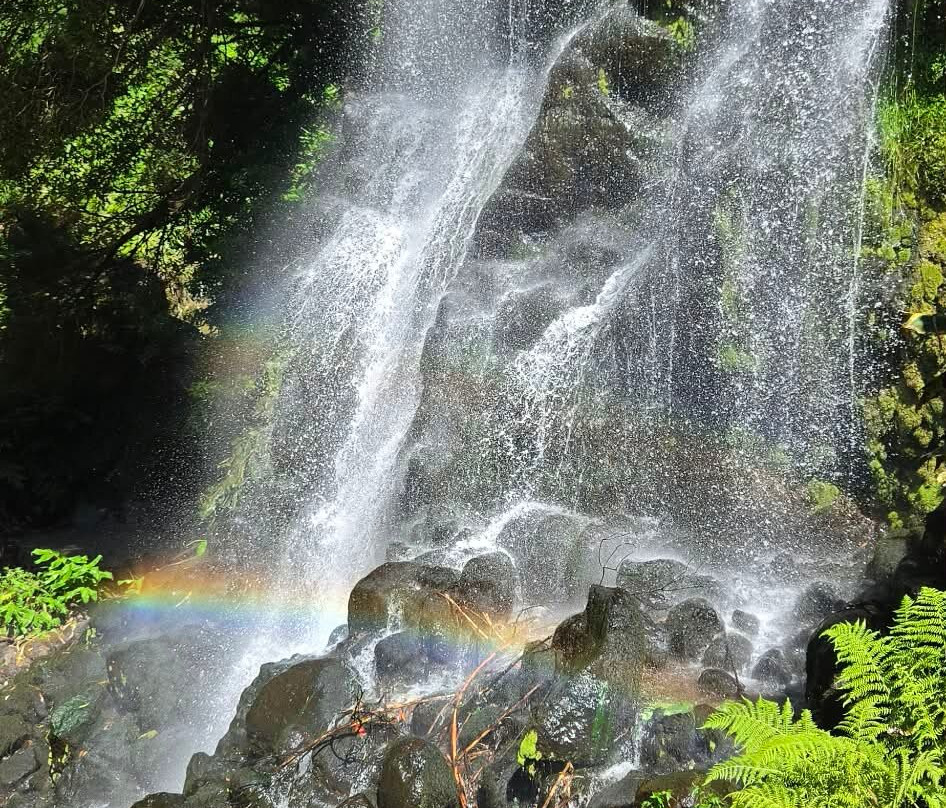 Parque Natural da Ribeira dos Caldeirões-Achada必去景点