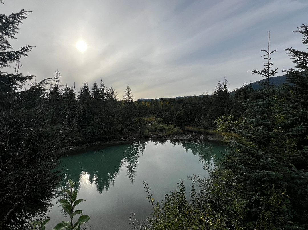 Tongass National Forest-凯奇坎必去景点