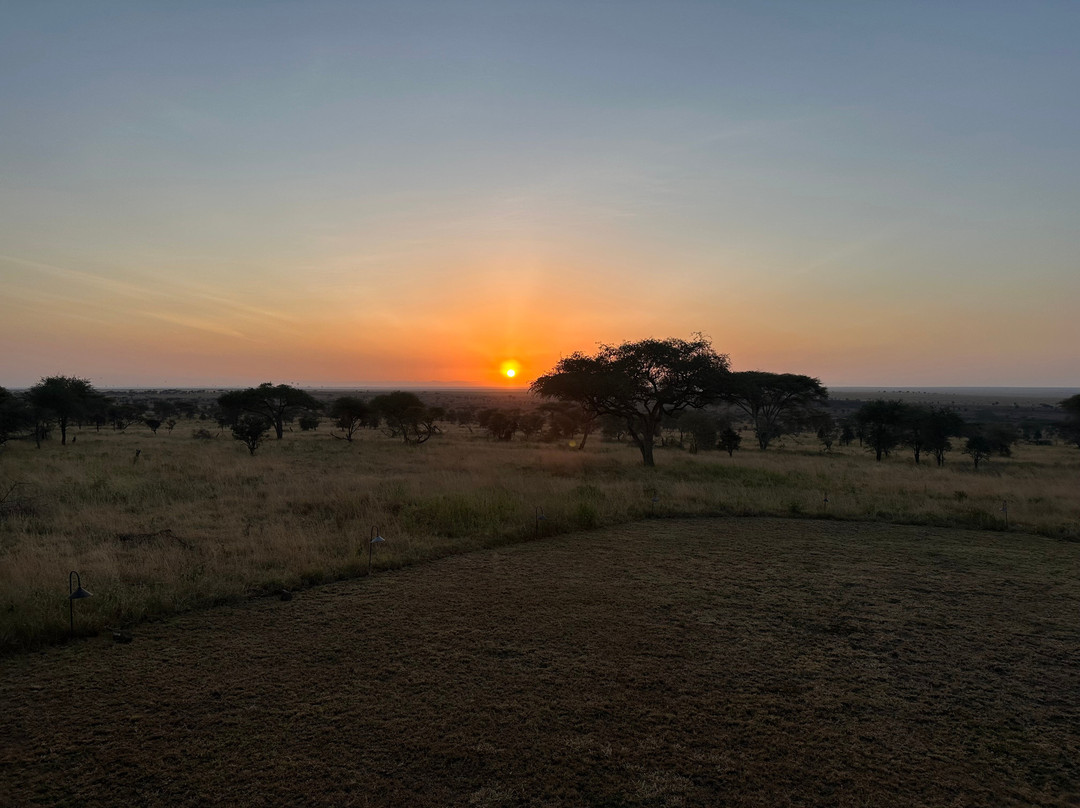 Dotcom Safaris Ltd
