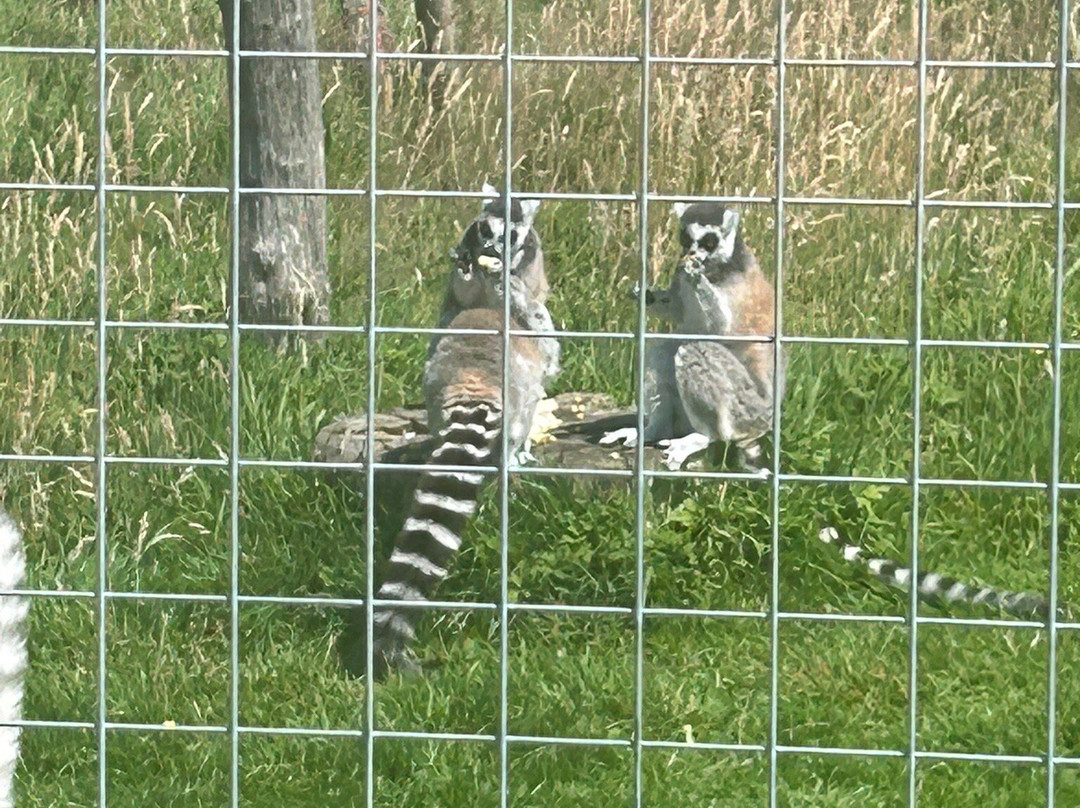 The Lake District Wildlife Park-Bassenthwaite必去景点