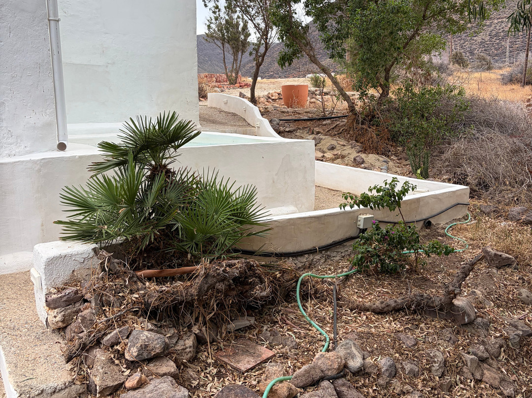 Cortijo la Loma Olivencia Natural主图