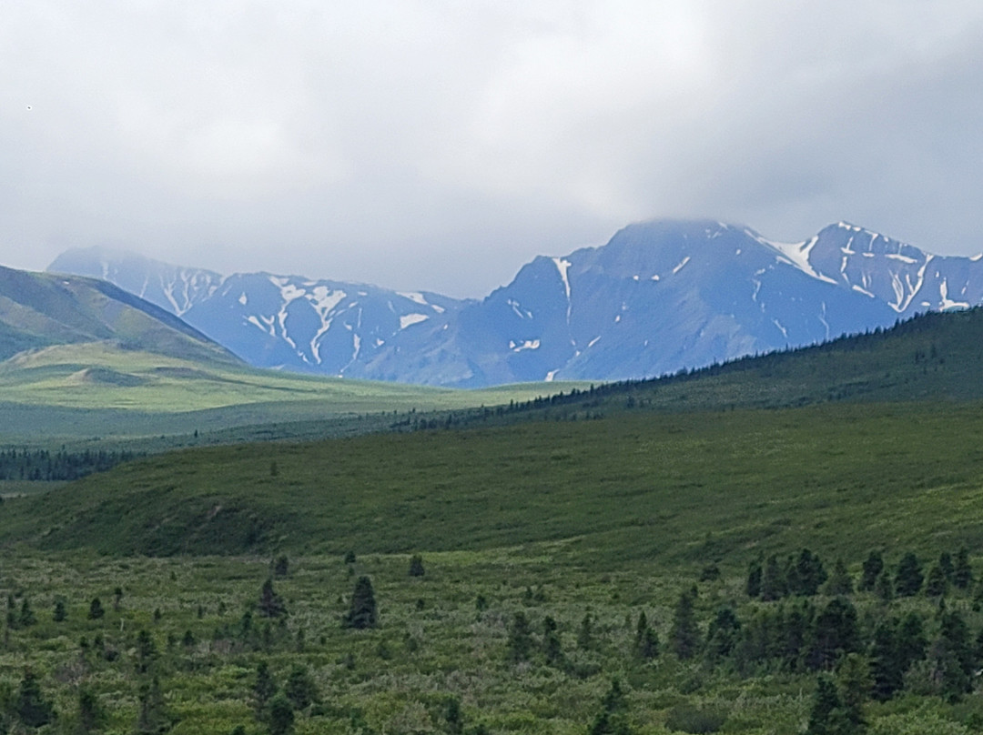 Denali Natural History Tour-德纳利国家公园和自然保护区必去景点