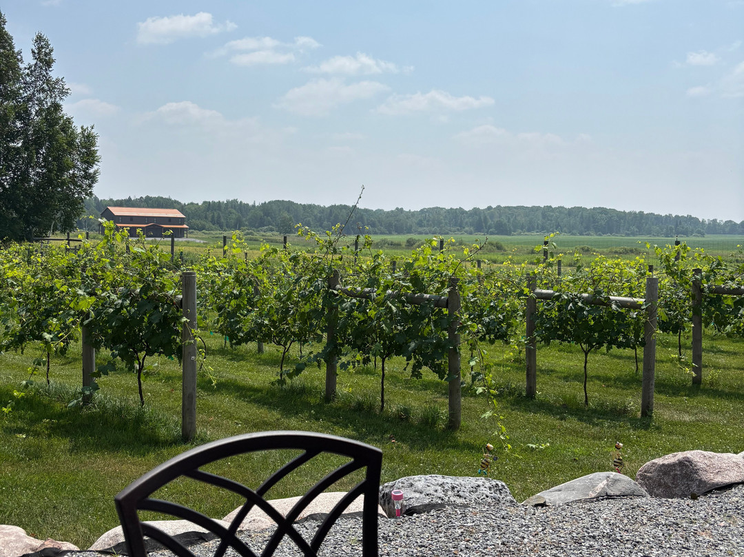 Hidden View Winery-梅德福必去景点