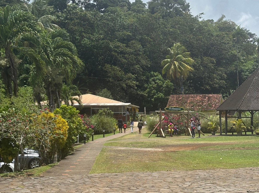 Banana Museum (Le Musee de la Banane)-马提尼克必去景点