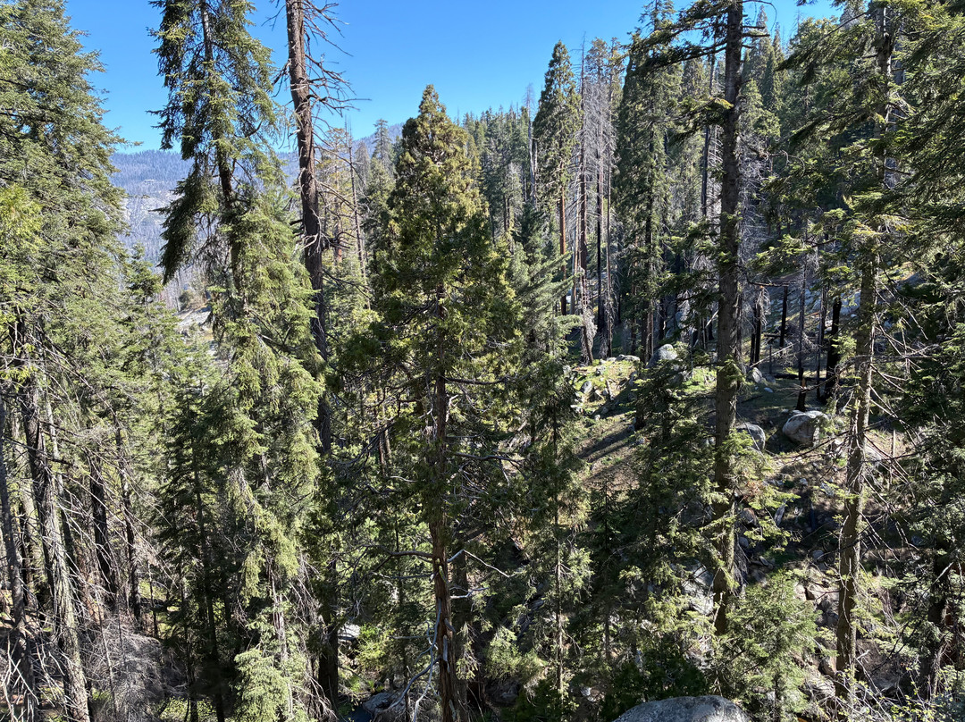 Beetle Rock In Sequoia National Park-Three Rivers必去景点