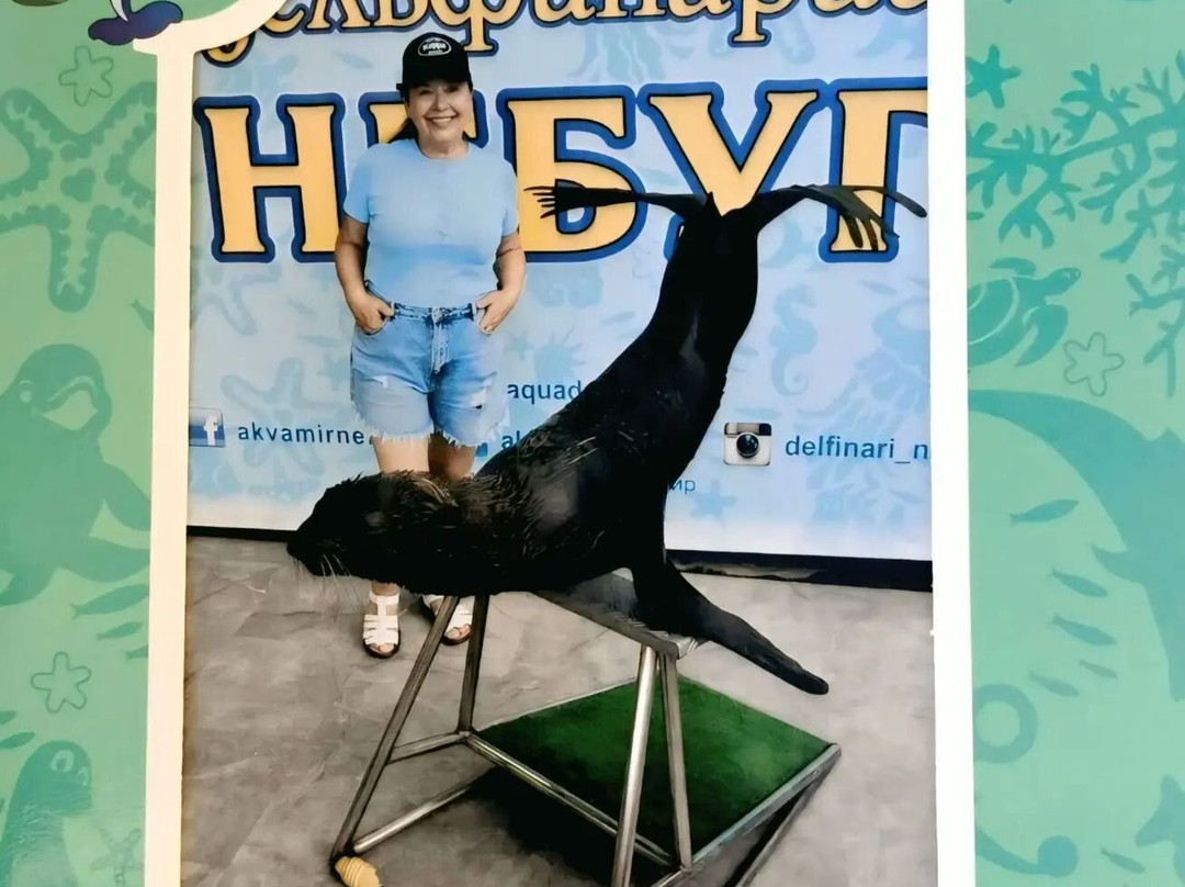 Aqua-Mir Dolphinarium-Nebug必去景点