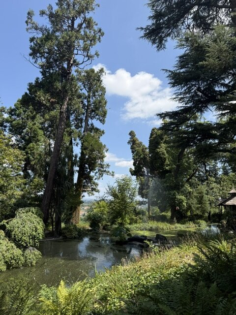Quinta da Aveleda-Penafiel必去景点