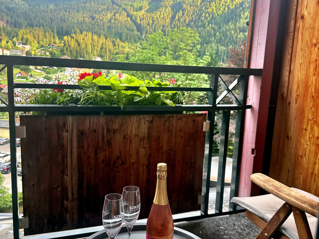 DAS RONACHER温泉酒店主图