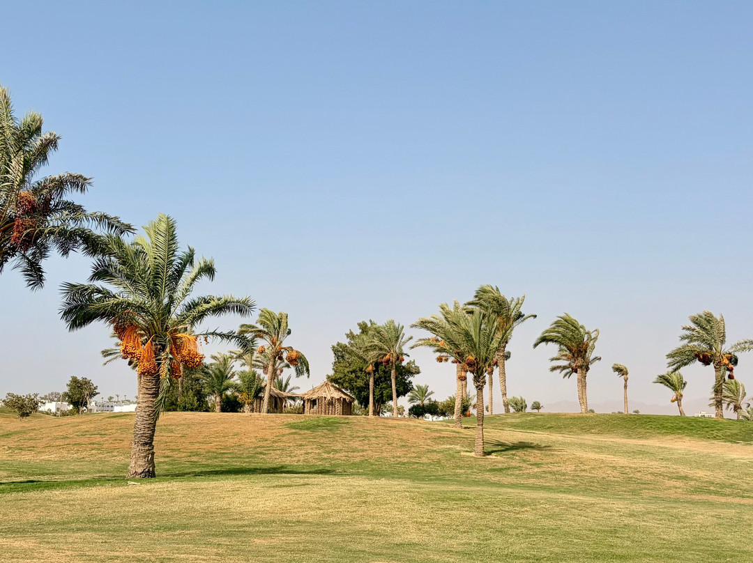 Pickalbatros Golf Course-沙姆沙伊赫必去景点