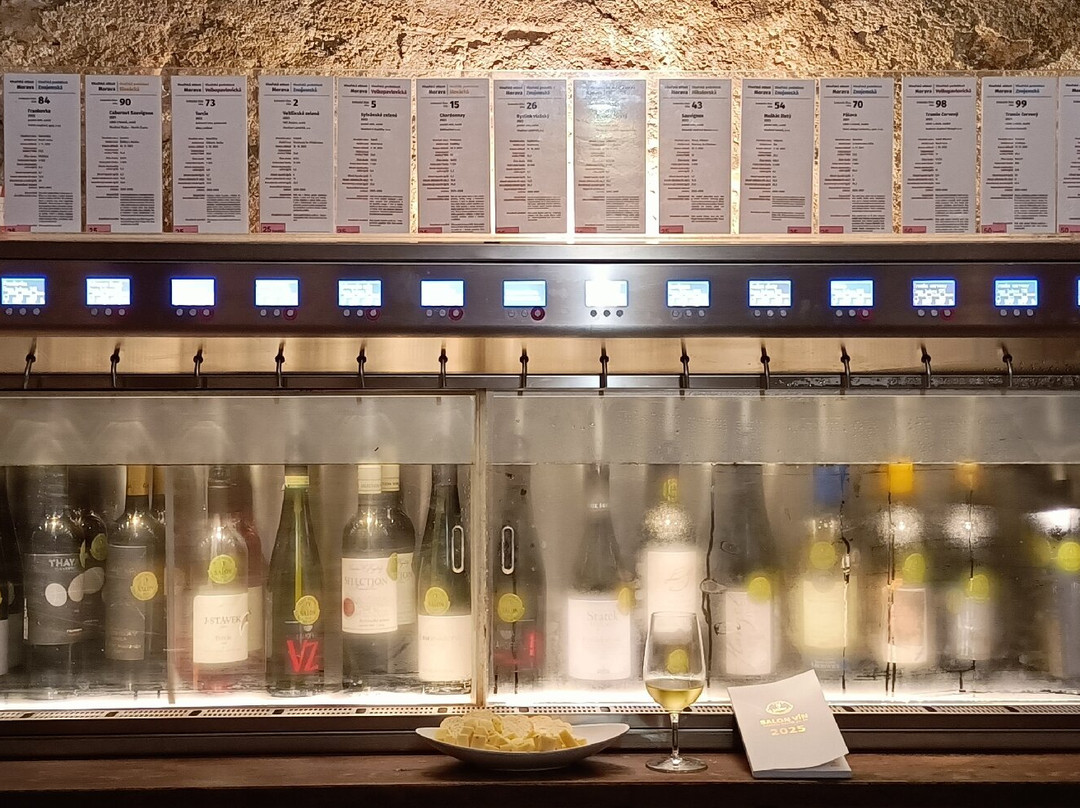 National Wine Salon (Národní salon vín)-Valtice必去景点