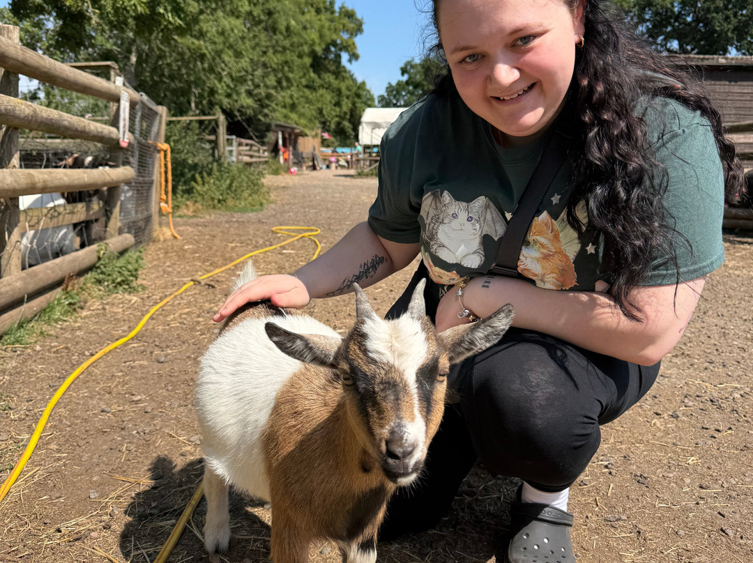 Lucky Tails Alpaca Farm-Atherstone必去景点