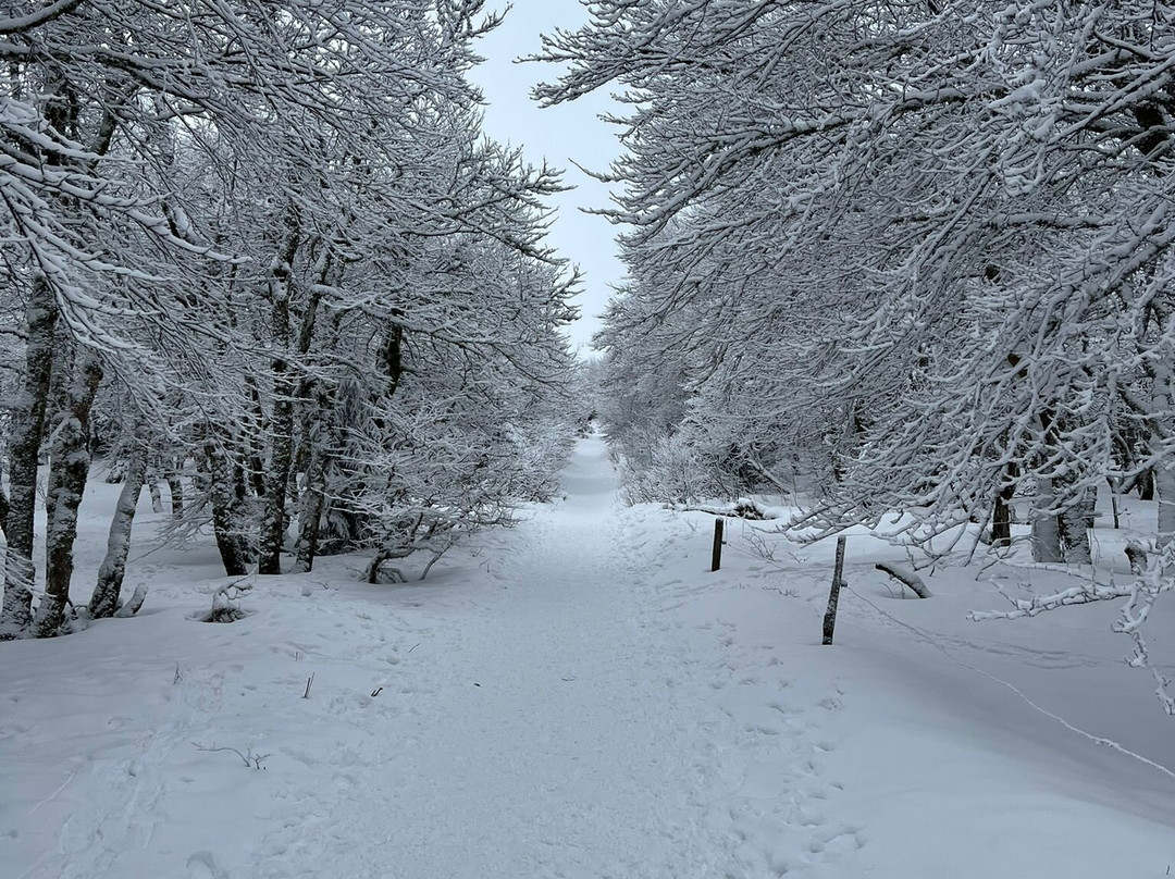 The Northern Vosges Regional Nature Park-Saint-Maurice-sur-Moselle必去景点