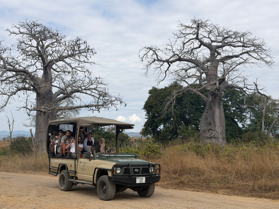 NICE ADVENTURE SAFARI-Dar es Salaam必去景点