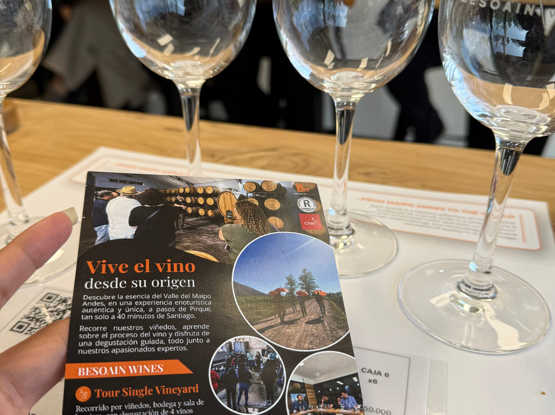 Besoain Wines-Pirque必去景点
