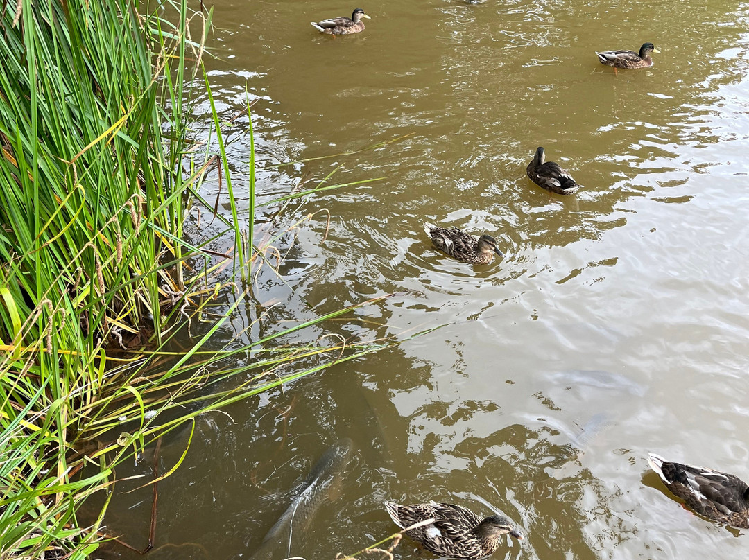 Bodenham Arboretum-Wolverley必去景点