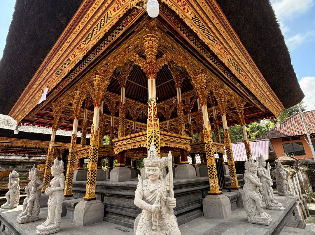 Bali Guide Francophone-登巴萨必去景点