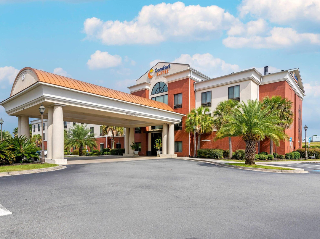 Port Wentworth酒店住宿-Comfort Suites Savannah North