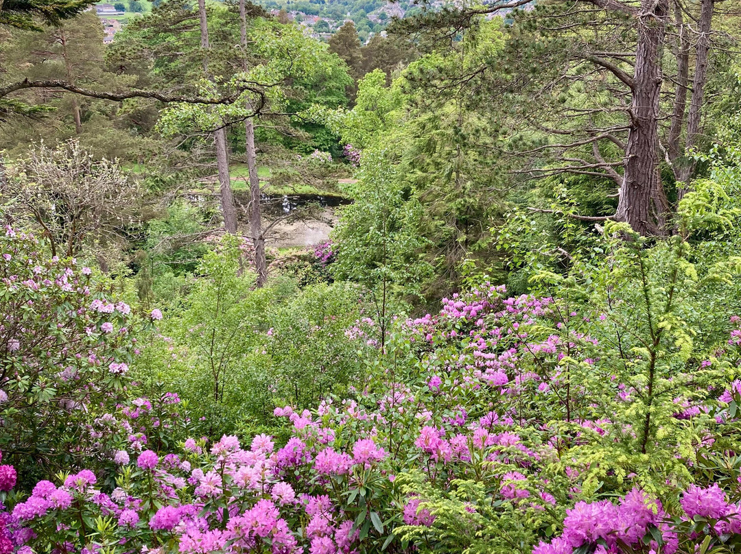 Cragside House and Gardens-Rothbury必去景点