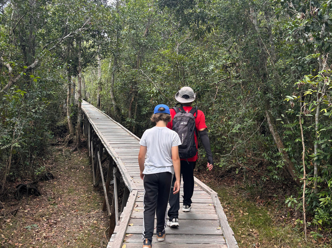 Toris Orangutan Tour-Kumai必去景点