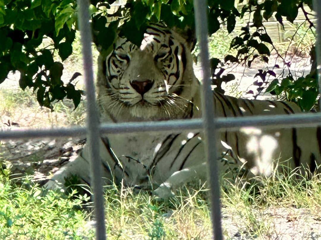 McCarthy's Wildlife Sanctuary-西棕榈滩必去景点