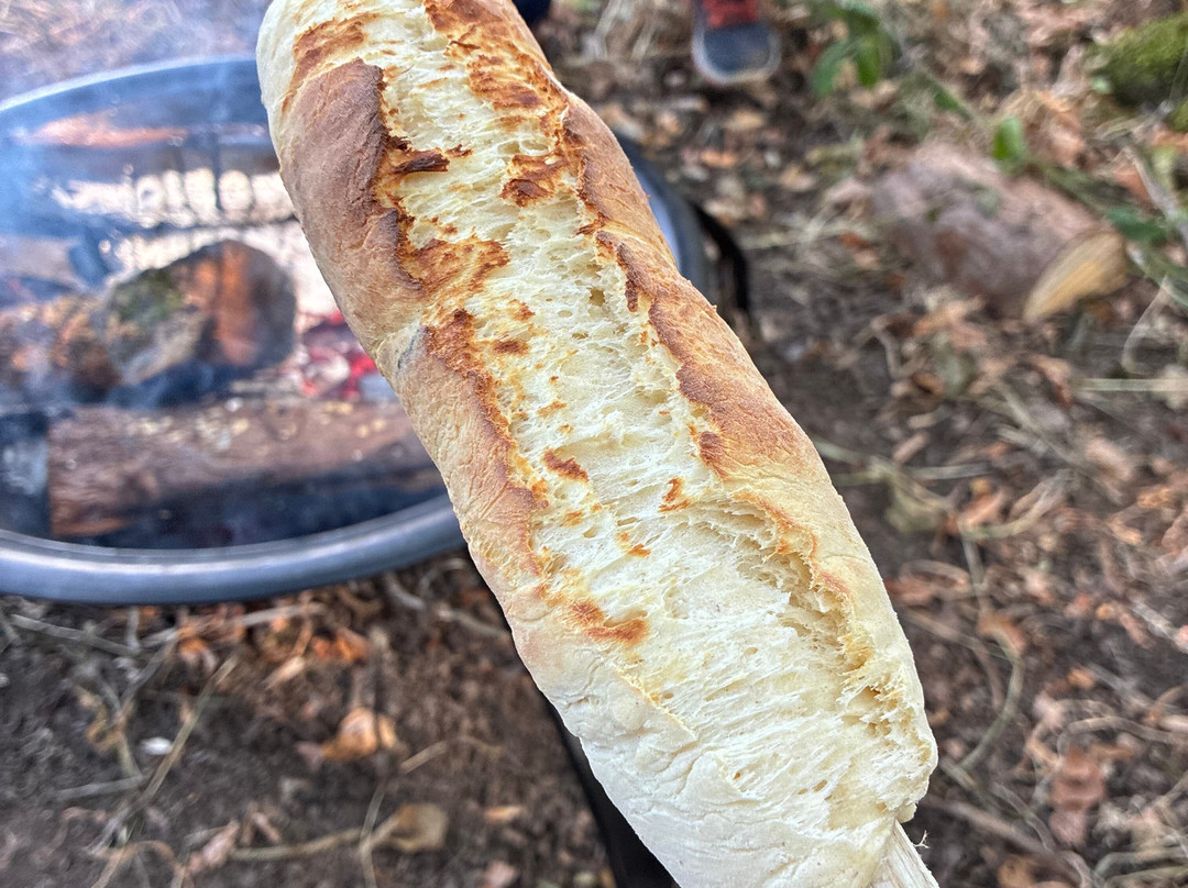 Wild Bushcraft Company-Corwen必去景点