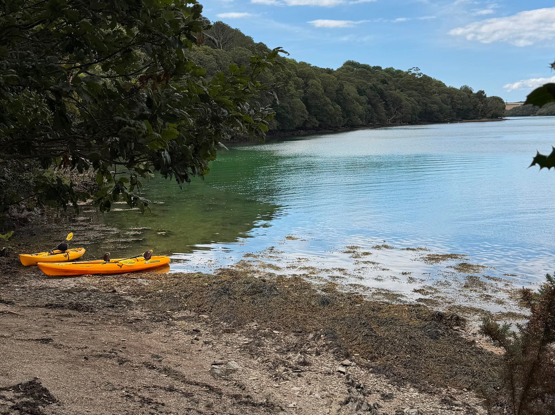 Koru Kayaking-St Agnes必去景点
