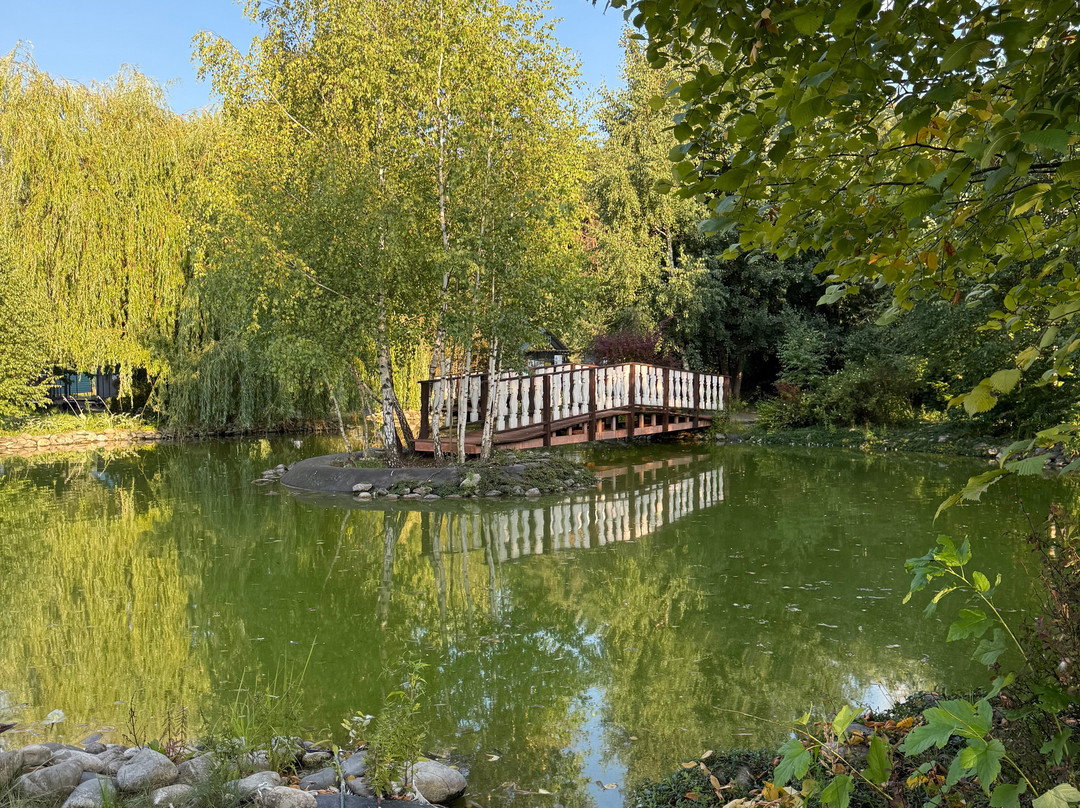 Park Hotel Orlovsky主图