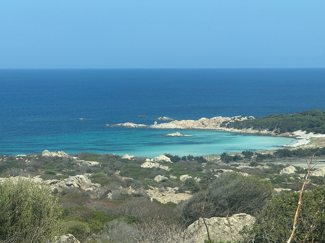Wild Asinara Park-萨萨里省必去景点