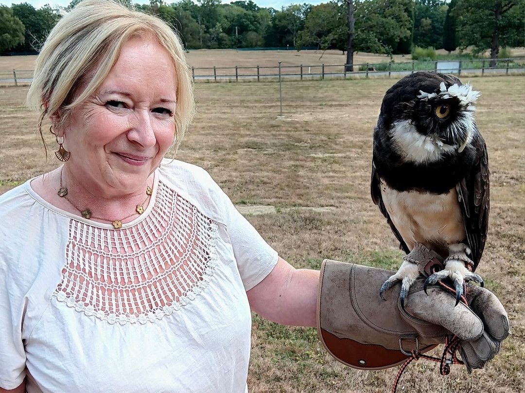 Surrey Hills Falconry-Ockley必去景点