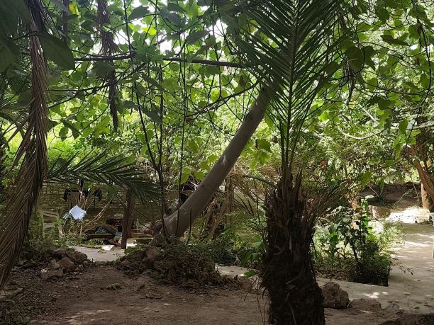 Oasis de Tiout-旅行者