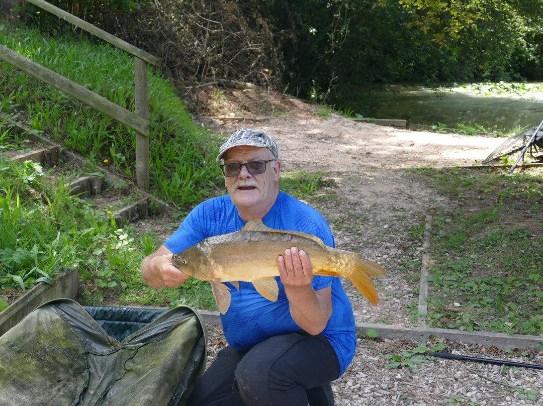 Luccombes Coarse Fishery-Exminster必去景点
