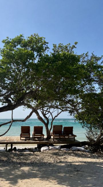 Hotel Isla Palma Reserva Natural-旅行者