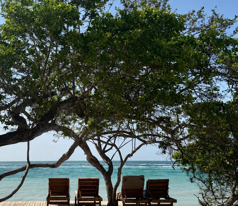 Hotel Isla Palma Reserva Natural主图
