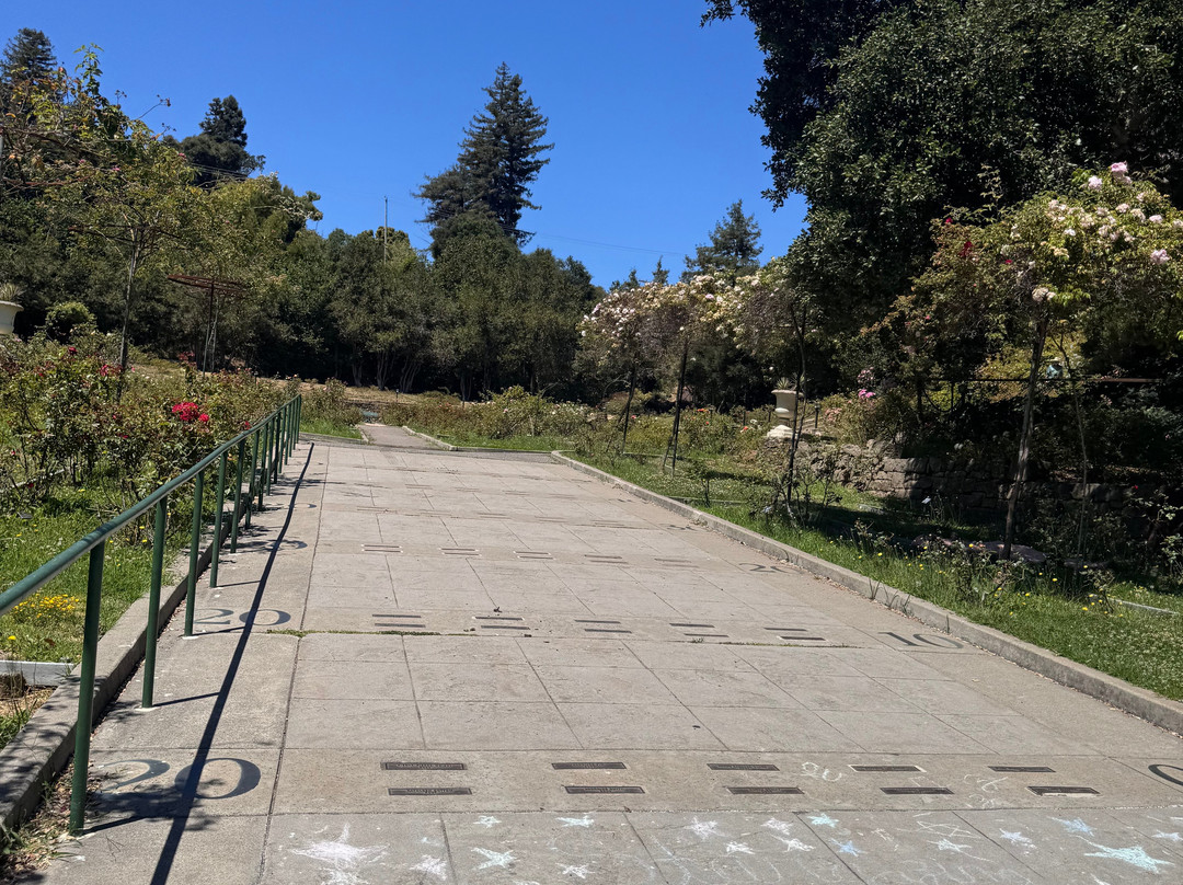 Morcom Amphitheater of Roses-奥克兰必去景点