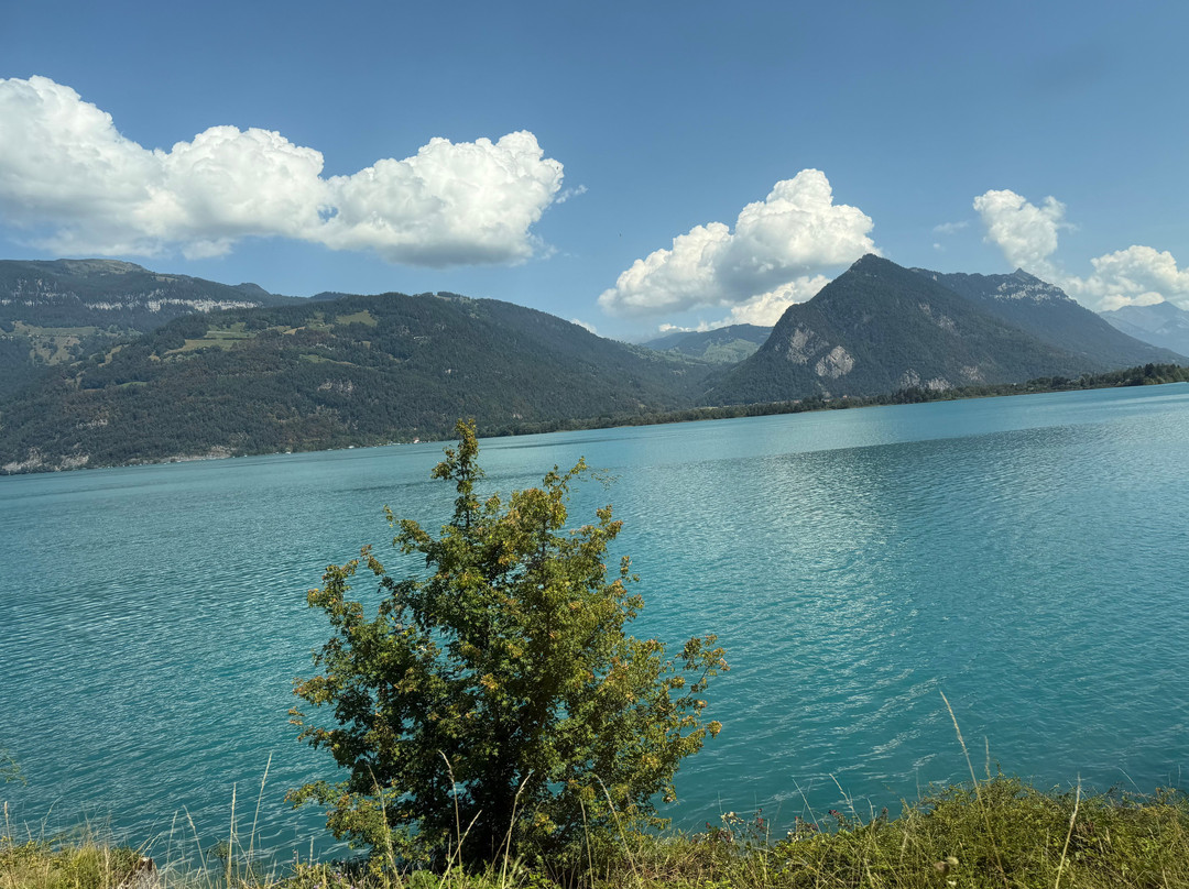 Lake Brienz-布里恩茨必去景点