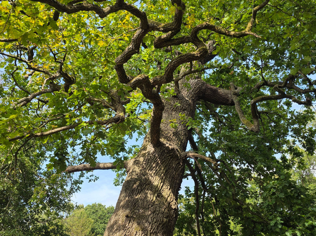 Elvaston Castle and Country Park-Elvaston必去景点