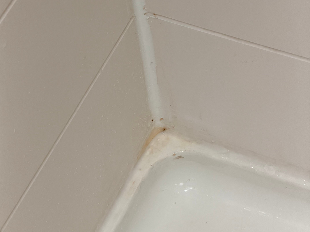 底特律都会机场拉昆塔温德姆套房酒店主图