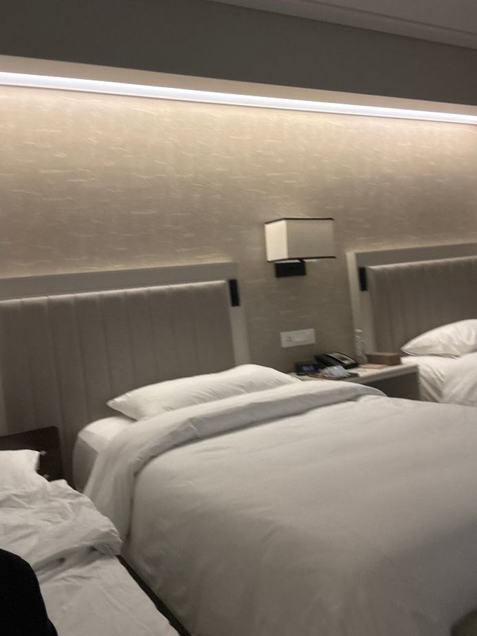 贾巴尔奥马麦加-旅行者