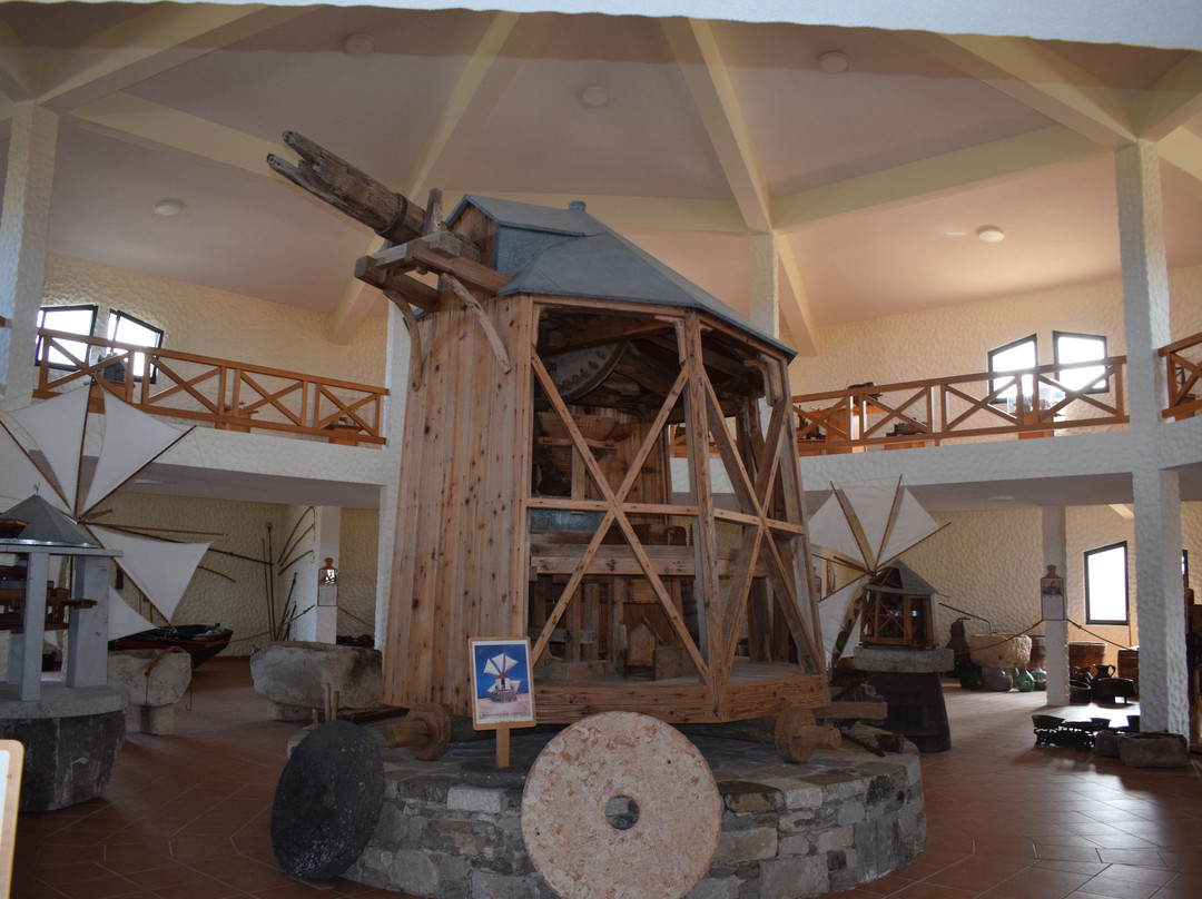 Museu do Cardina-Porto Santo Island必去景点