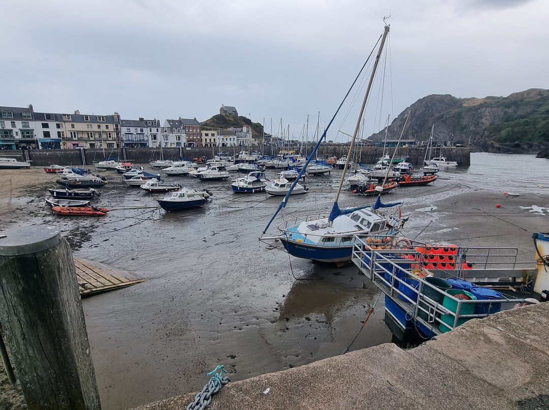 Ilfracombe Harbour-伊尔弗勒科姆必去景点