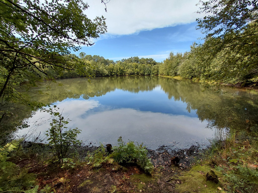 Buckhorn State Park-Necedah必去景点
