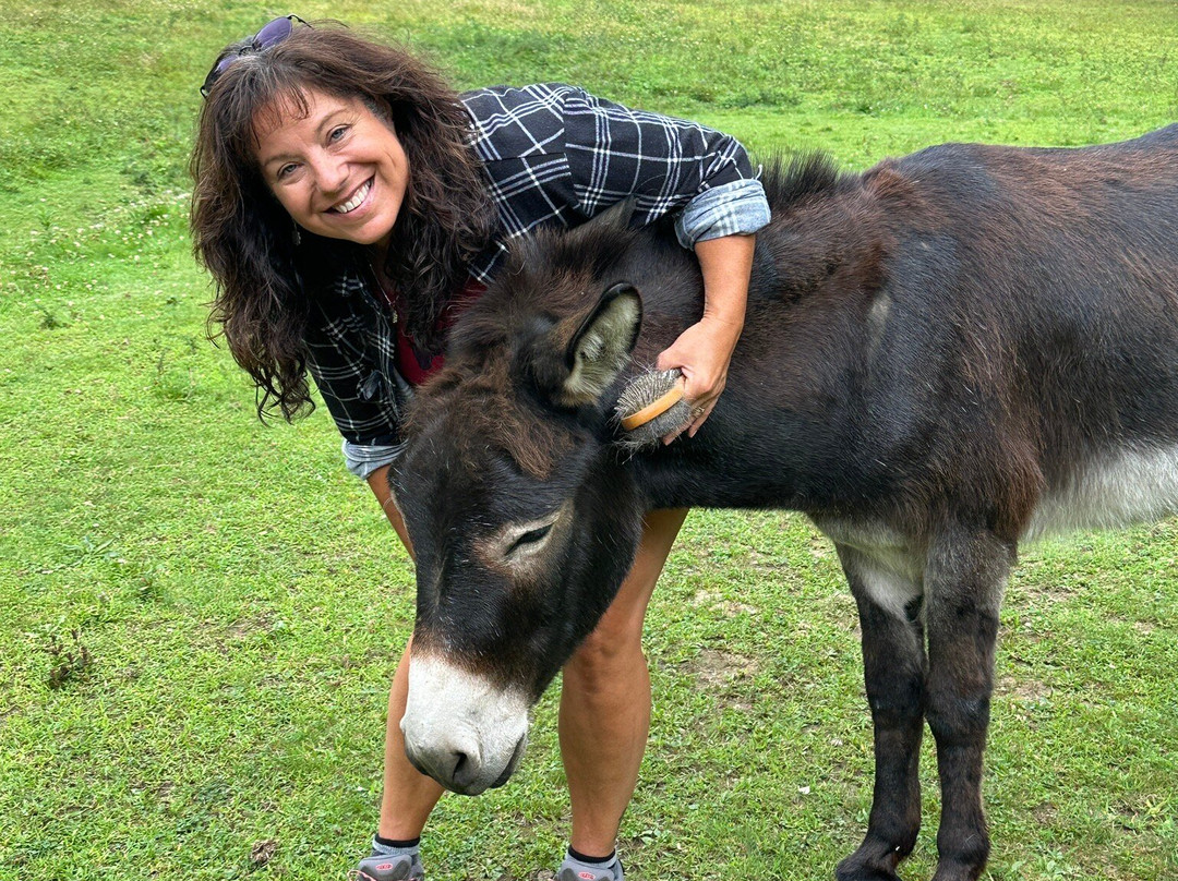 Downeast Donkey Walks-Searsport必去景点