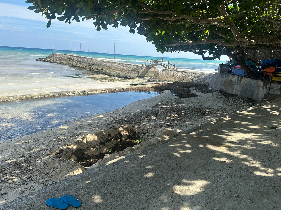 法拉盛草地度假村主图