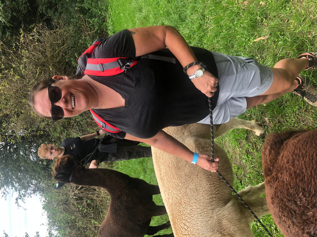 Charnwood Forest Alpacas-Boundary必去景点