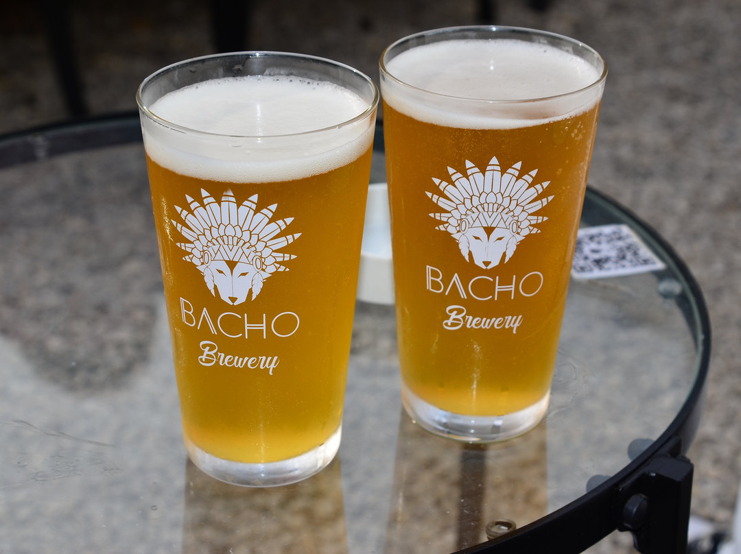 Bacho Brewery-Tourrettes-sur-Loup必去景点
