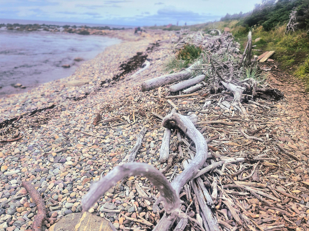 Gros Morne National Park-Rocky Harbour必去景点