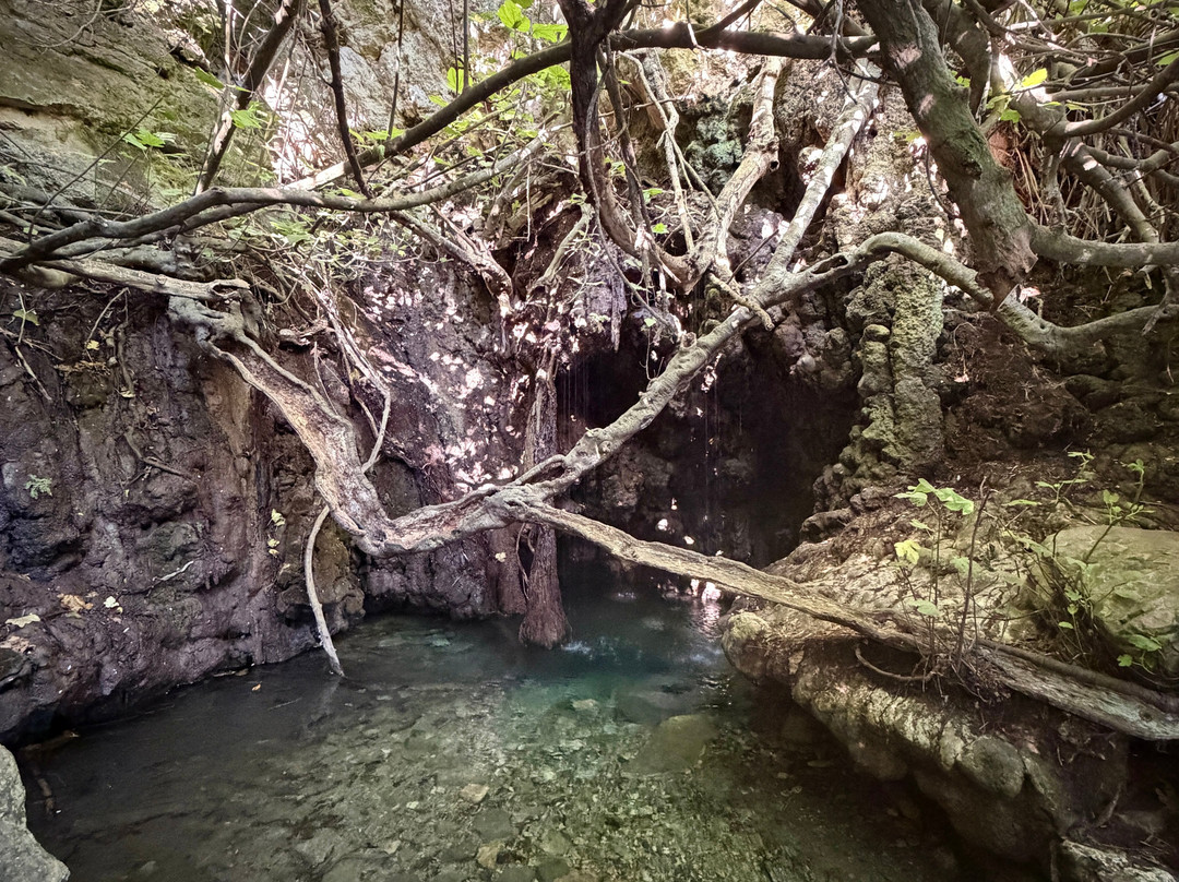 Aphrodite Trail-Latchi必去景点