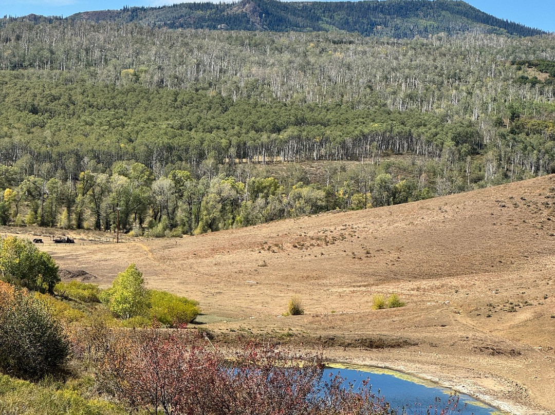 Del's Triangle 3 Ranch-Clark必去景点